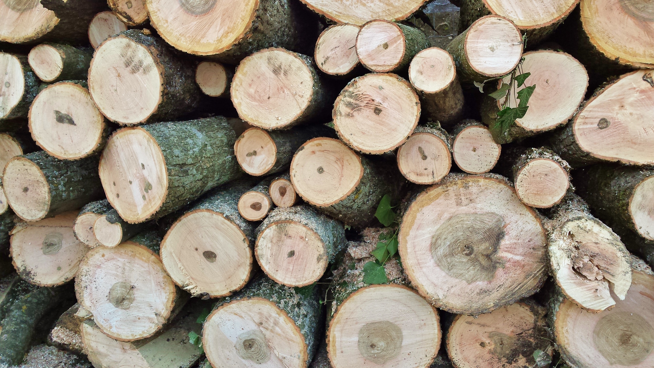 Der nächste Winter kommt bestimmt