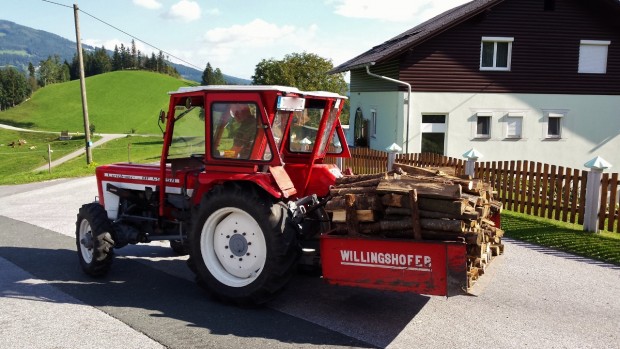 Holzeinlagerung - Der Winter kann kommen