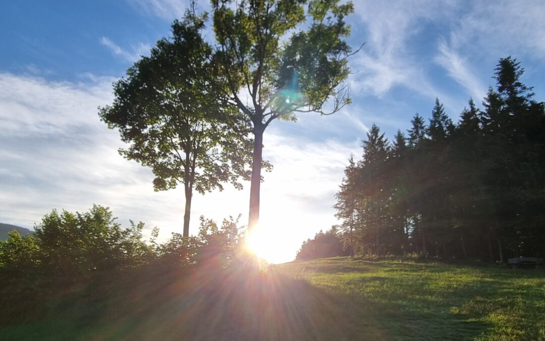 Restplätze für den Familiensommer im Almenland