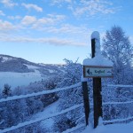 Winter im Almenland