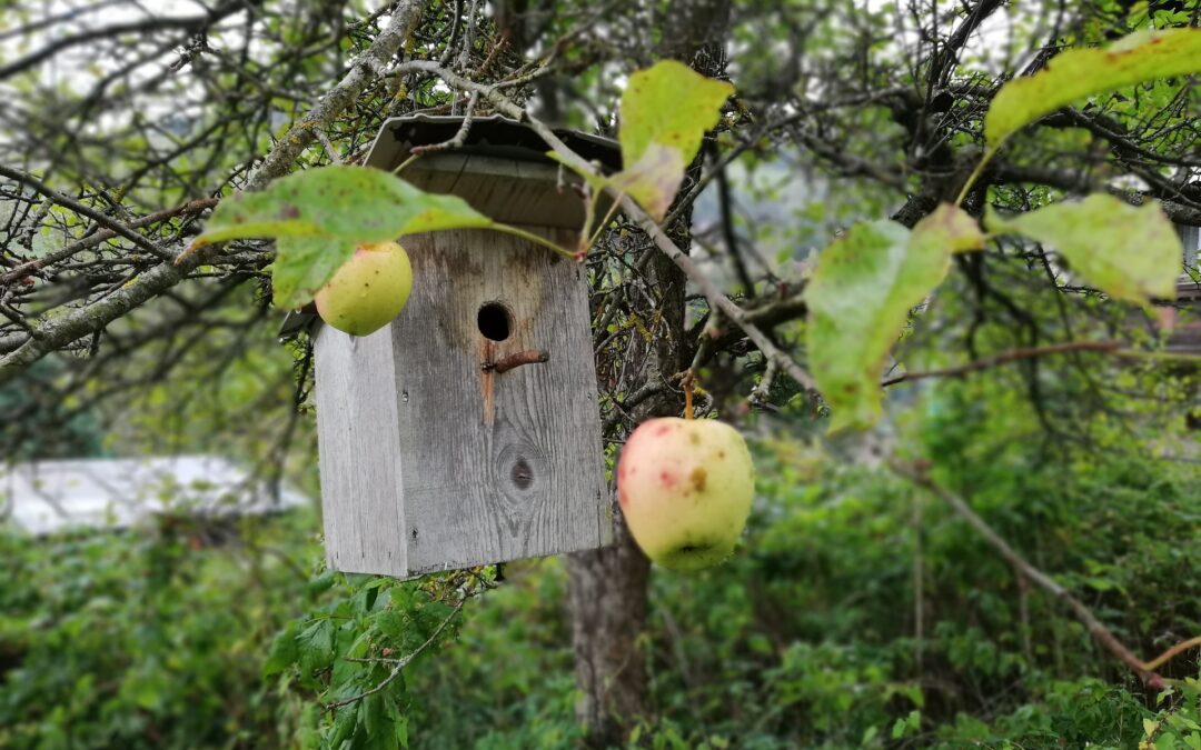 Herbstzauber am Bauernhof