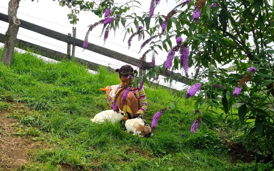 Familienurlaub im Almenland