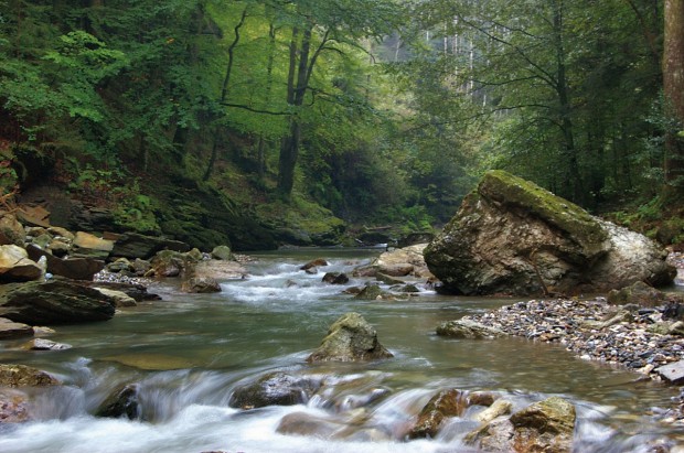 Märchenwald_Raabklamm (c) Tourismusverband Weiz