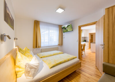 Schlafzimmer mit Doppelbett,Sofa,TV_UaB-Stmk_Ferienwohnungen-Wohnung Abendsonne.
