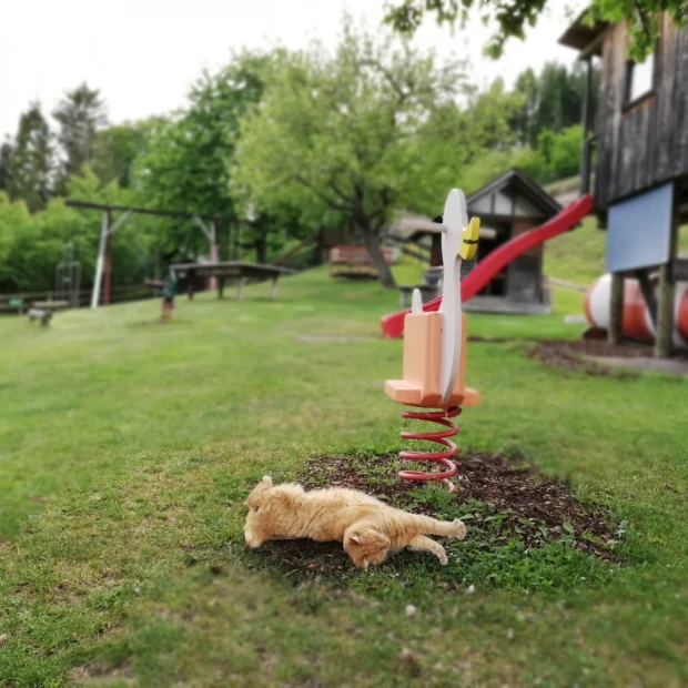 Schnurli ganz entspannt am hofeigenen Spielplatz.