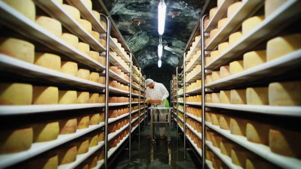 Stollenkäse - Almenlandbüro